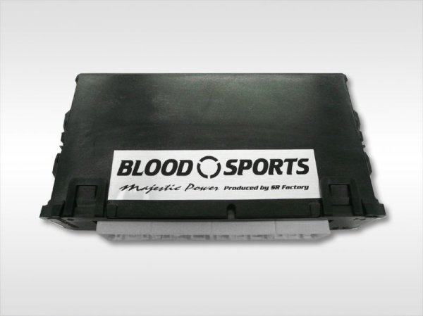 画像2: 【BLOOD SPORTS】ECU (2)